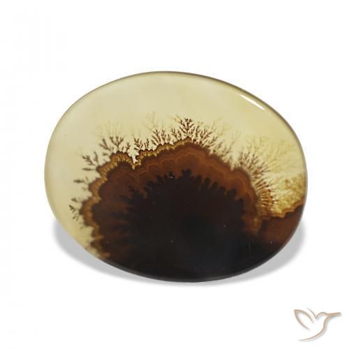Dendritique Agate Multicolore naturelle ovale, 2.46 ct, Transparent