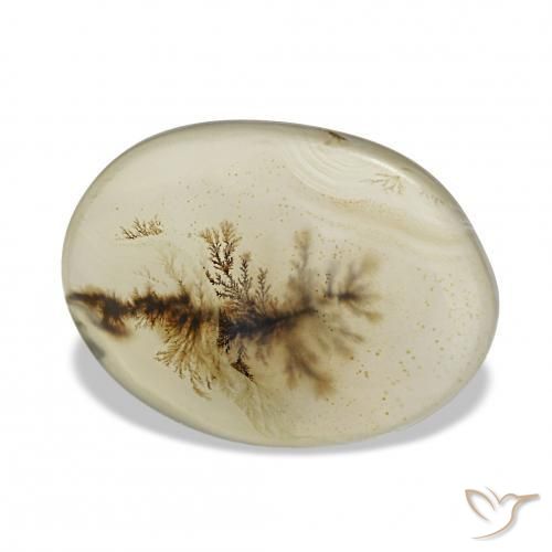 Dendritique Agate Multicolore naturelle ovale, 4.44 ct, Transparent