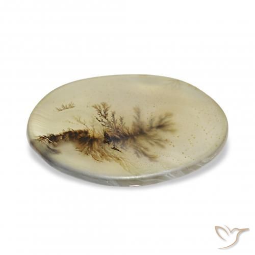 Dendritique Agate Multicolore naturelle ovale, 4.44 ct, Transparent