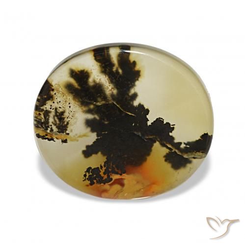 Dendritique Agate Multicolore naturelle ovale, 4.85 ct, Transparent
