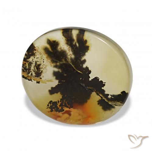 Dendritique Agate Multicolore naturelle ovale, 4.85 ct, Transparent