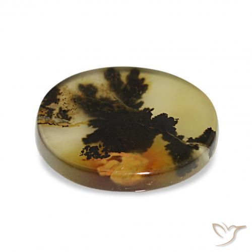 Dendritique Agate Multicolore naturelle ovale, 4.85 ct, Transparent