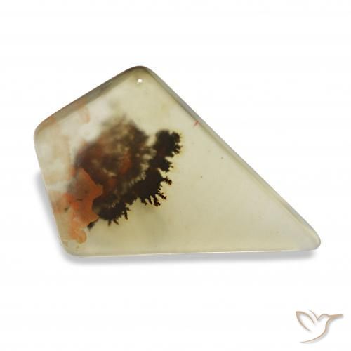 Dendritique Agate Multicolore naturelle Fantaisie, 4.47 ct, Transparent