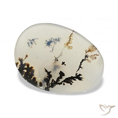 Dendritique Agate Multicolore naturelle ovale, 2.42 ct, Transparent