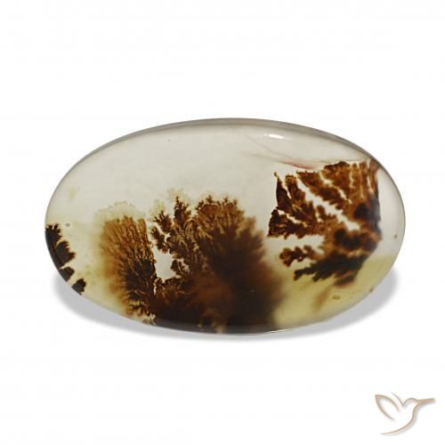 Dendritique Agate Multicolore naturelle ovale, 6.55 ct, Transparent