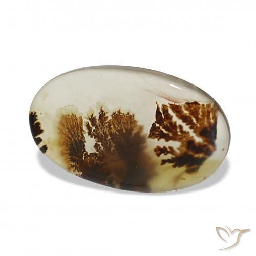 Dendritique Agate Multicolore naturelle ovale, 6.55 ct, Transparent