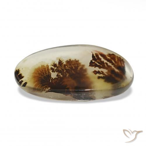 Dendritique Agate Multicolore naturelle ovale, 6.55 ct, Transparent