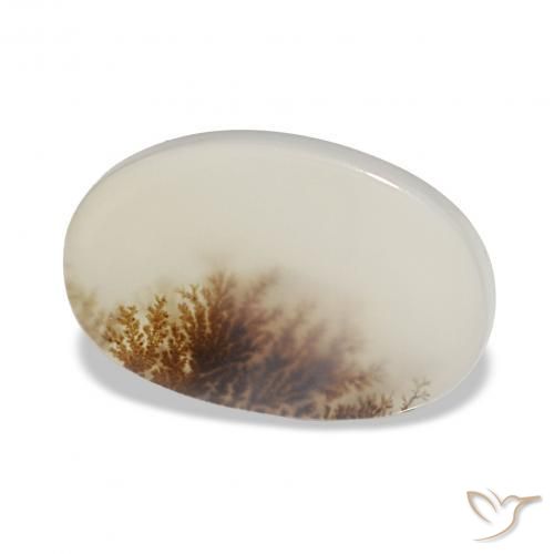 Dendritique Agate Multicolore naturelle ovale, 3.85 ct, Transparent