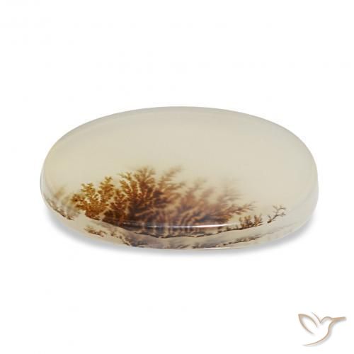 Dendritique Agate Multicolore naturelle ovale, 3.85 ct, Transparent