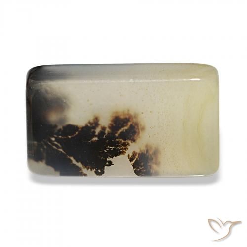 Dendritique Agate Multicolore naturelle Baquette, 5.54 ct, Transparent