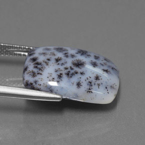 Calcédoine dendritique Multicolore naturelle Coupe coussin, 8.39 ct, Opaque