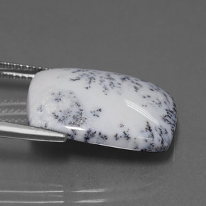 Calcédoine dendritique Multicolore naturelle Coupe coussin, 11.33 ct, Opaque