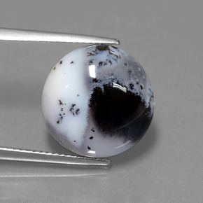 Calcédoine dendritique Multicolore naturelle Coupe roude, 9.50 ct, Translucide