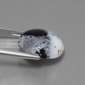 Calcédoine dendritique Multicolore naturelle Coupe roude, 9.50 ct, Translucide