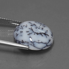 Calcédoine dendritique Multicolore naturelle Coupe roude, 9.76 ct, Opaque