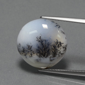 Calcédoine dendritique multicolore naturelle coupe roude, 7,74 ct, opaque