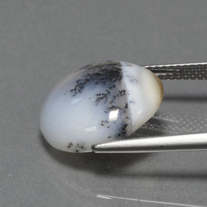 Calcédoine dendritique multicolore naturelle coupe roude, 7,74 ct, opaque