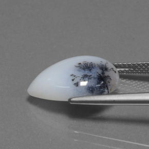 Calcédoine dendritique Multicolore naturelle En forme de poire, 6.98 ct, Translucide