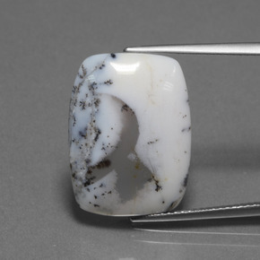 Calcédoine dendritique Multicolore naturelle Coupe coussin, 10.32 ct, Translucide