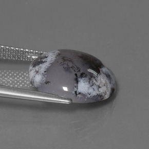 Calcédoine dendritique multicolore naturelle coupe roude, 7,64 ct, translucide