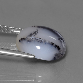 Calcédoine dendritique multicolore naturelle coupe roude, 11,38 ct, translucide