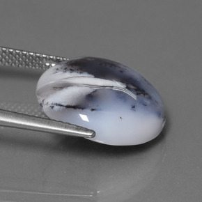 Calcédoine dendritique Multicolore naturelle Coupe roude, 9.98 ct, Translucide