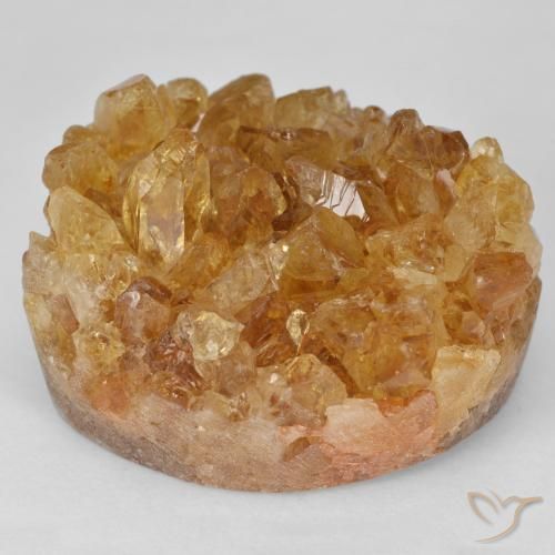 64.51ct Naturel Brun doré Druzy Citrine, Fantaisie, Opaque