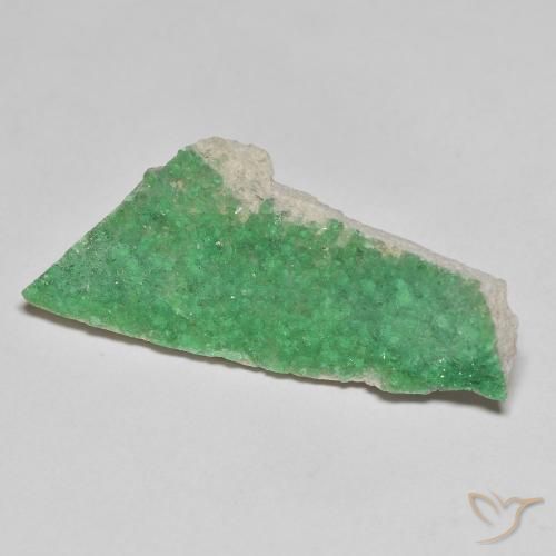 Druzy Variscite Vert fougère profond naturelle Fantaisie, 6.91 ct, Opaque