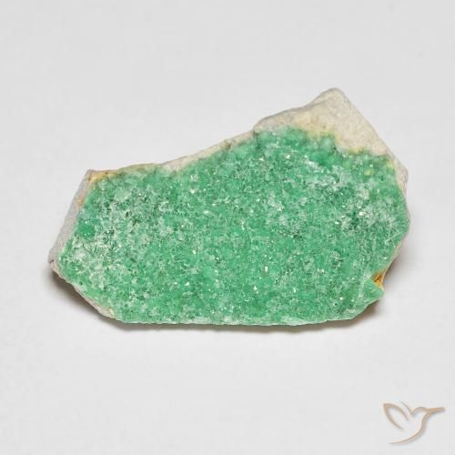 6.19ct Naturel Vert trèfle Variscite druzy, Fantaisie, Opaque