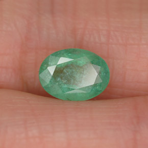 Émeraude vert naturelle coupe ovale, 1,17 ct, SI-I1
