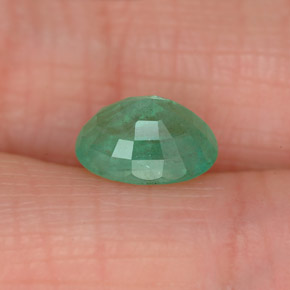 Émeraude vert naturelle coupe ovale, 1,17 ct, SI-I1
