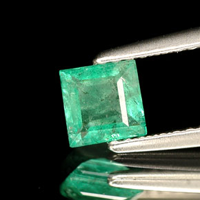 Émeraude vert naturelle carré, 0,49 ct, SI-I1