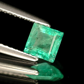 Émeraude vert naturelle carré, 0,49 ct, SI-I1