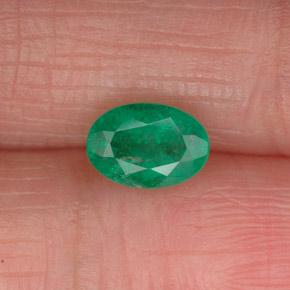 Émeraude vert naturelle coupe ovale, 0,76 ct, SI-I1