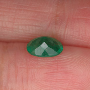 Émeraude vert naturelle coupe ovale, 0,70 ct, SI-I1