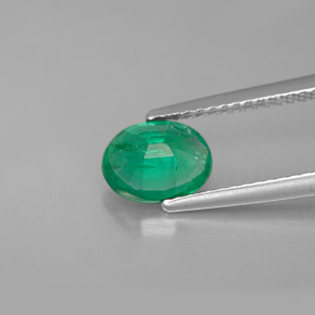 Émeraude vert naturelle coupe ovale, 1,11 ct, SI-I1
