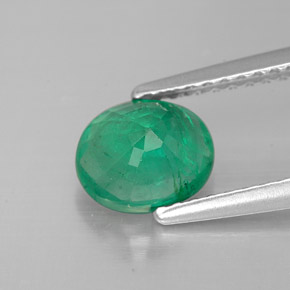 Émeraude vert naturelle coupe ovale, 1,01 ct, SI-I1