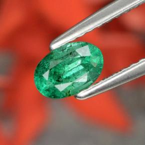 Émeraude vert naturelle coupe ovale, 0,48 ct, SI-I1