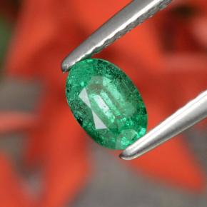 Émeraude vert naturelle coupe ovale, 0,48 ct, SI-I1