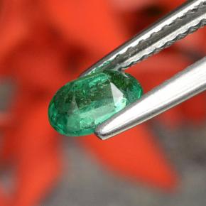 Émeraude vert naturelle coupe ovale, 0,48 ct, SI-I1