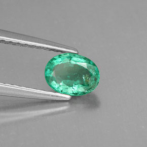 Émeraude vert naturelle coupe ovale, 0,55 ct, VS-SI