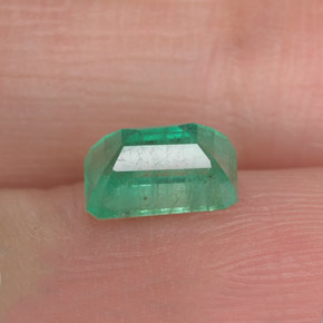 Émeraude vert naturelle taille émeraude, 1,00 ct, SI