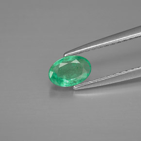 Émeraude vert naturelle coupe ovale, 0,42 ct, VS-SI