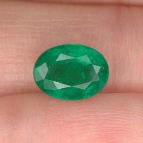 Émeraude vert naturelle coupe ovale, 1,60 ct, SI