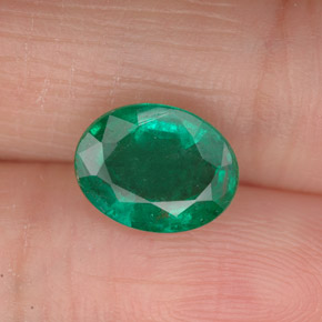 Émeraude vert naturelle coupe ovale, 1,63 ct, VS-SI