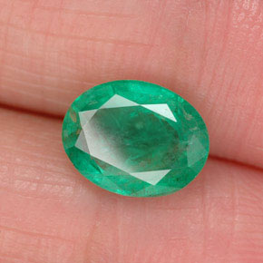 Émeraude vert naturelle coupe ovale, 1,64 ct, SI