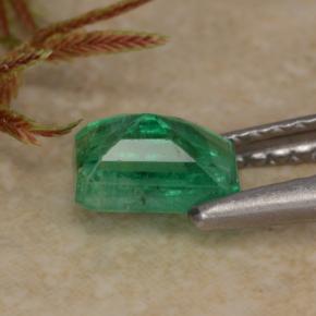 Émeraude vert naturelle taille émeraude, 0,70 ct, SI-I1