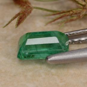 Émeraude vert naturelle taille émeraude, 0,63 ct, SI-I1