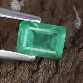 Émeraude vert naturelle taille émeraude, 0,68 ct, SI-I1