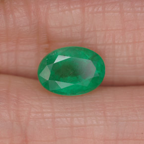 Émeraude vert naturelle coupe ovale, 1,27 ct, SI-I1